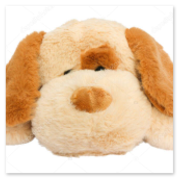 Due peluche della stessa mascotte con leggere differenze nei colori
